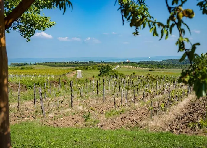 Case de vacanță Berkenye-lak *